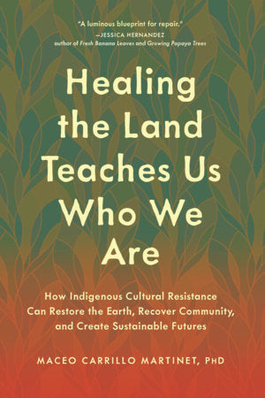 Healing the Land Teaches Us Who We Are Paperback by Maceo Carrillo Martinet, PhD