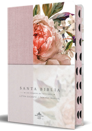 Biblia RVR 1960 Tamaño manual, letra gigante, tela con flores rosadas, canto pintado e índice / Spanish Bible RVR 1960 Giant Print, Pink Leathersoft with Flow Hardcover by Reina Valera Revisada 1960