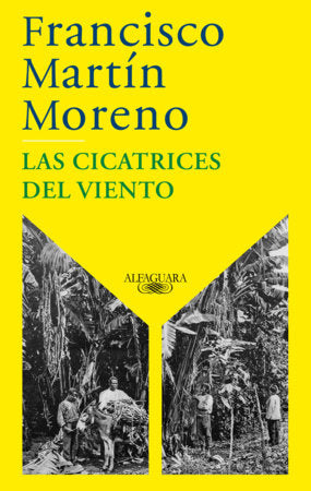 Las cicatrices del viento / The Scars of the Wind Paperback by Francisco Martín Moreno