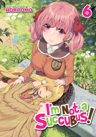 I'm Not a Succubus! Vol. 6 Paperback by HORITOMO