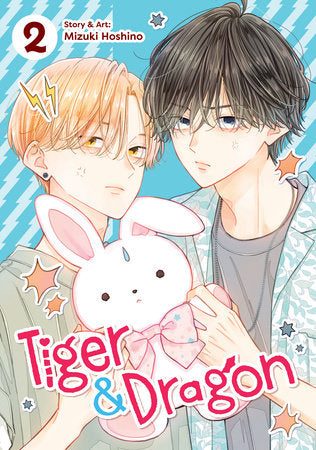 Tiger and Dragon Vol. 2 Paperback by Mizuki Hoshino