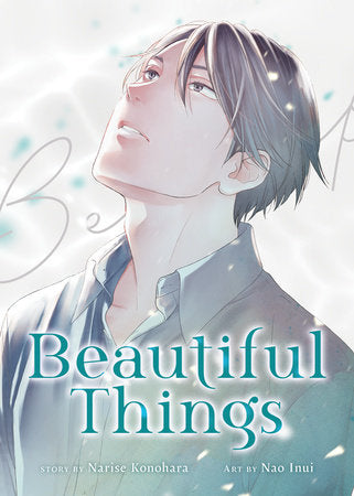 Beautiful Things: The Complete Manga Collection Paperback by Narise Konohara; Illustrated by Nao Inui