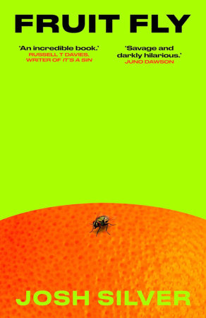 Fruit Fly Paperback by Josh Silver