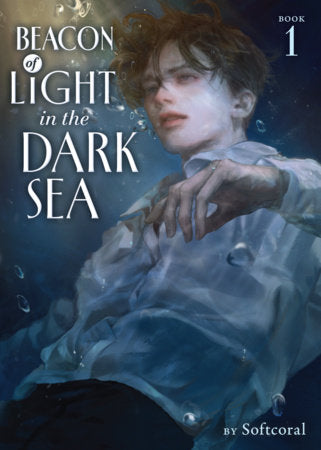 Beacon of Light in the Dark Sea (Novel) Vol. 1 Paperback by Softcoral
