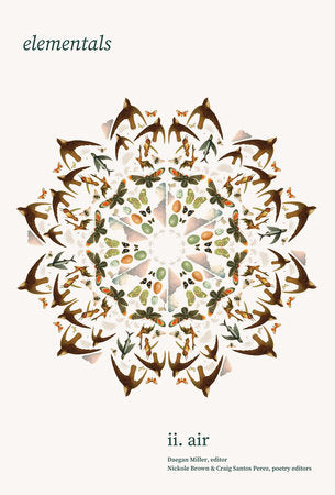 Elementals: Air, Vol. 2 Paperback by Daegan Miller