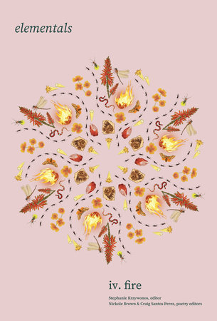 Elementals: Fire, Vol. 4 Paperback by Stephanie Krzywonos