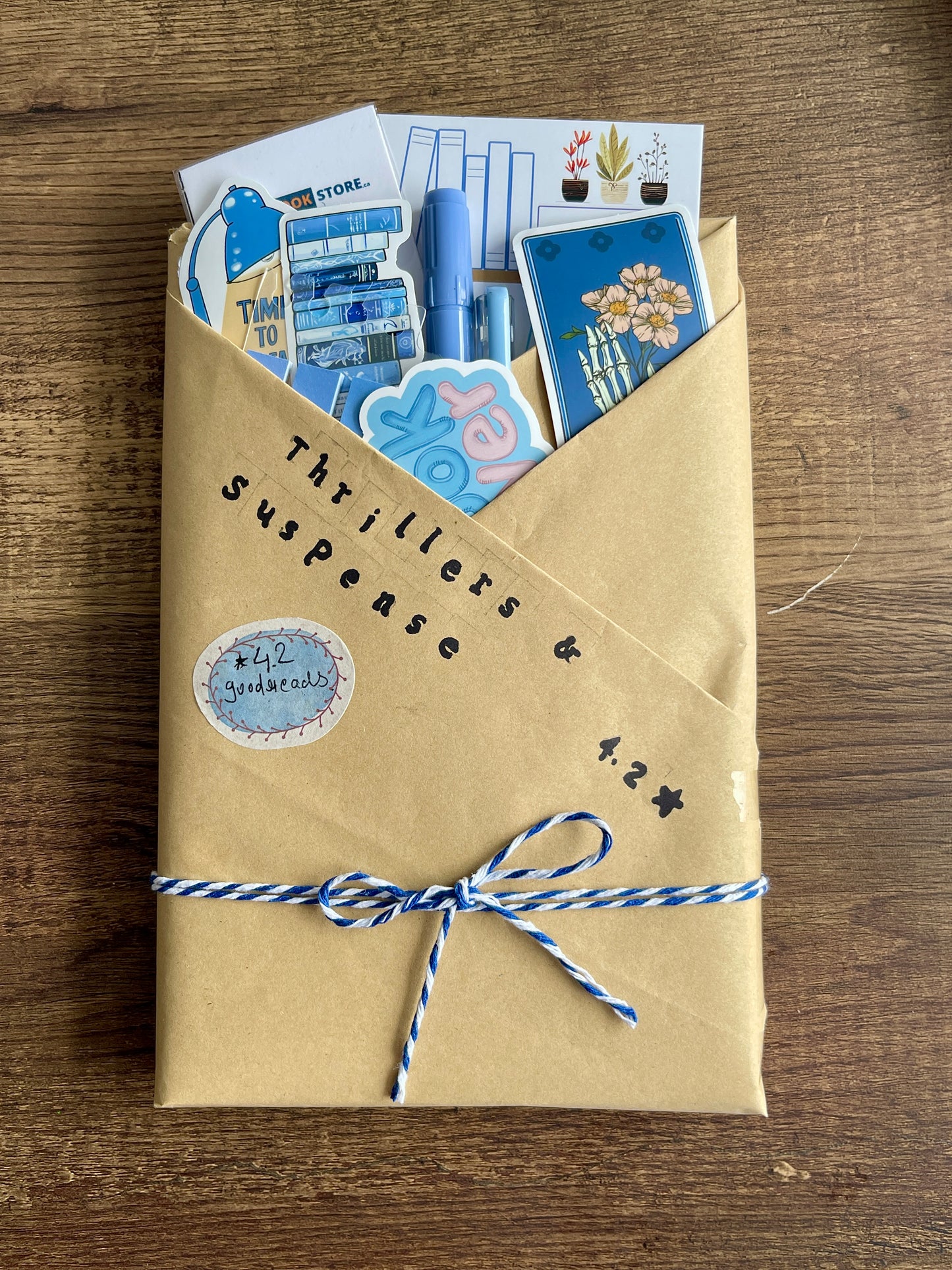 Blind Date With A book - Book Lover’s Kit