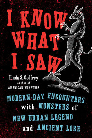 I Know What I Saw Paperback by Linda S. Godfrey