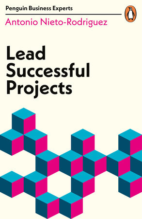 Lead Successful Projects Paperback by Antonio Nieto-Rodriguez