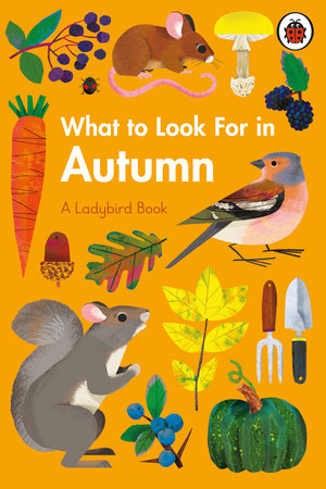 What to Look For in Autumn Hardcover by Elizabeth Jenner