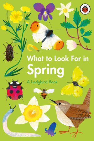 What to Look For in Spring Hardcover by Elizabeth Jenner