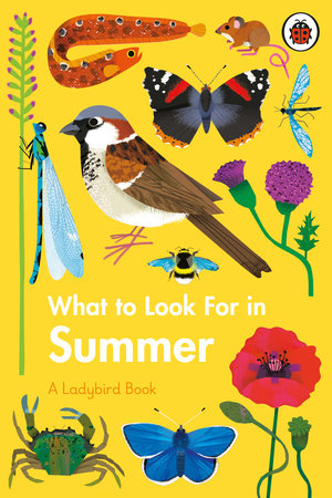What to Look For in Summer Hardcover by Elizabeth Jenner