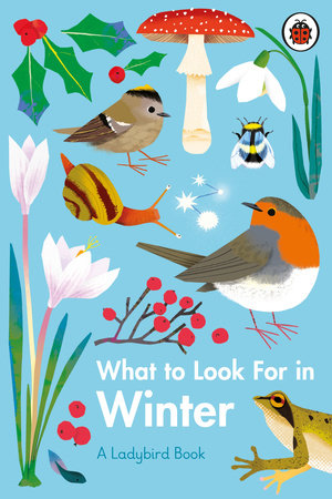 What to Look For in Winter Hardcover by Elizabeth Jenner