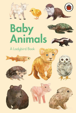 A Ladybird Book: Baby Animals Hardcover by Ladybird