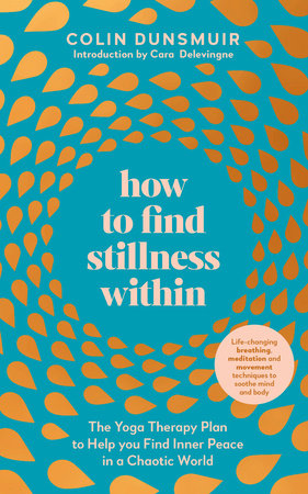 How to Find Stillness Within Paperback by Colin Dunsmuir