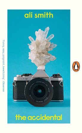The Accidental Paperback by Ali Smith