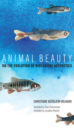 Animal Beauty Hardcover by Christiane Nüsslein-Volhard; illustrated by Suse Grützmacher; translated by Jonathan Howard