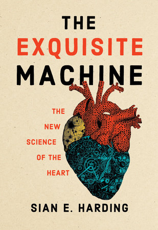 The Exquisite Machine: The New Science of the Heart Hardcover by Sian E. Harding