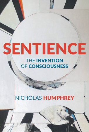 Sentience: The Invention of Consciousness Hardcover by Nicholas Humphrey
