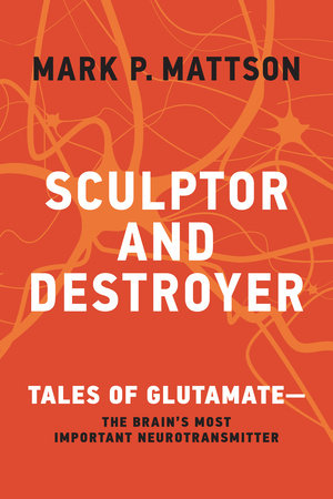 Sculptor and Destroyer Paperback by Mark P. Mattson