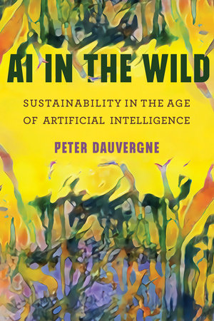 AI in the Wild Paperback by Peter Dauvergne