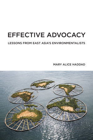 Effective Advocacy Paperback by Mary Alice Haddad