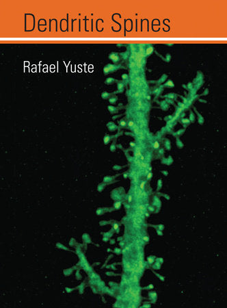 Dendritic Spines Paperback by Rafael Yuste