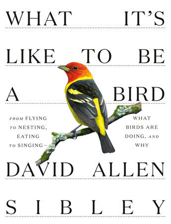 What It's Like to Be a Bird Hardcover by David Allen Sibley