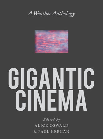 Gigantic Cinema Paperback by Paul Keegan
