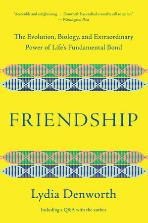 Friendship Paperback by Lydia Denworth