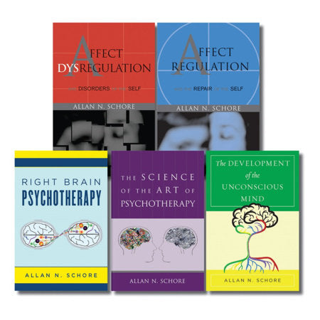 The Allan Schore Bookshelf: Five-book set Hardcover by Allan N. Schore