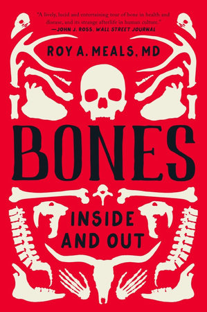 Bones Paperback by Roy A Meals