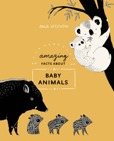 Amazing Facts About Baby Animals Hardcover by Maja Säfström