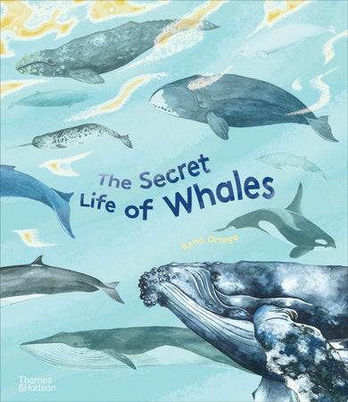 The Secret Life of Whales Hardcover by Rena Ortega