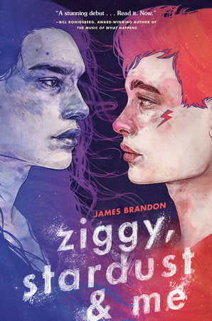 Ziggy, Stardust and Me Paperback by James Brandon