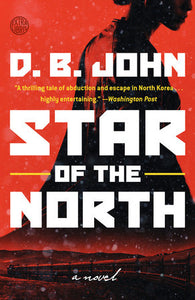 Star of the North Paperback by D. B. John