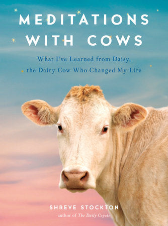 Meditations with Cows Paperback by Shreve Stockton