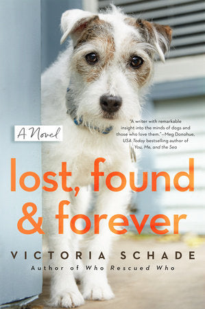 Lost, Found, and Forever Paperback by Victoria Schade