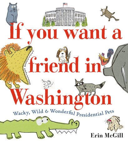 If You Want a Friend in Washington Hardcover by Erin McGill