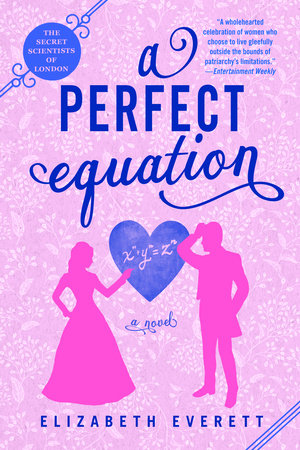 A Perfect Equation Paperback by Elizabeth Everett