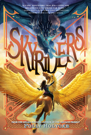 Skyriders Hardcover by Polly Holyoke