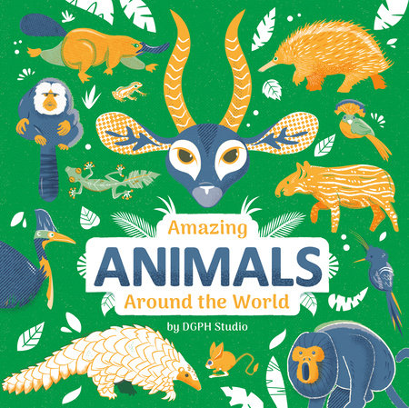 Amazing Animals Around the World Hardcover by DGPH Stufio