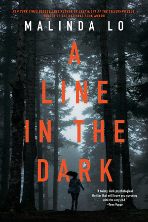 A Line in the Dark Paperback by Malinda Lo