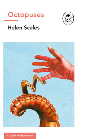 Octopuses: A Ladybird Expert Book Hardcover by Dr Helen Scales