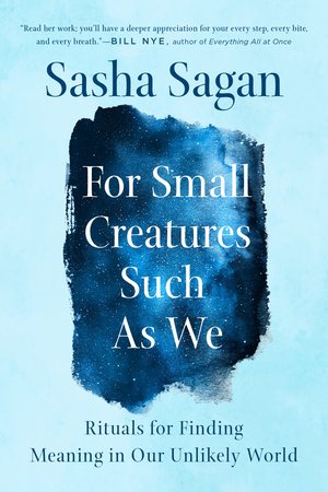 For Small Creatures Such as We Paperback by Sasha Sagan