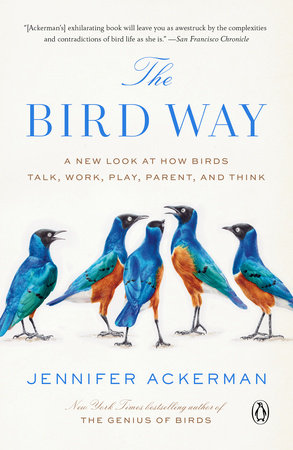 The Bird Way Paperback by Jennifer Ackerman