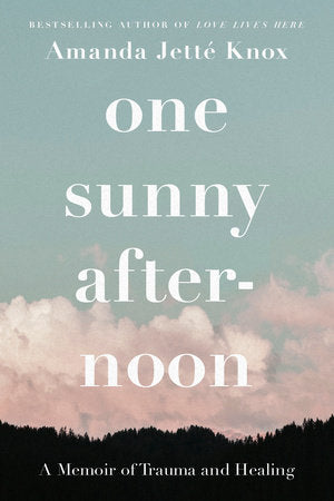 One Sunny Afternoon Paperback by Rowan Jetté Knox (formerly Amanda Jetté Knox)