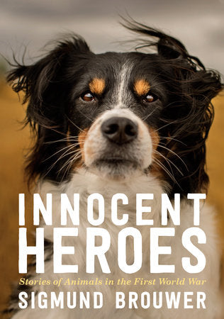 Innocent Heroes Paperback by Sigmund Brouwer
