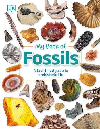 My Book of Fossils Hardcover by DK