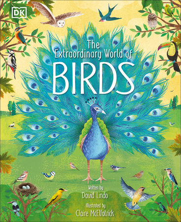The Extraordinary World of Birds Hardcover by David Lindo